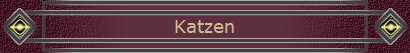 Katzen